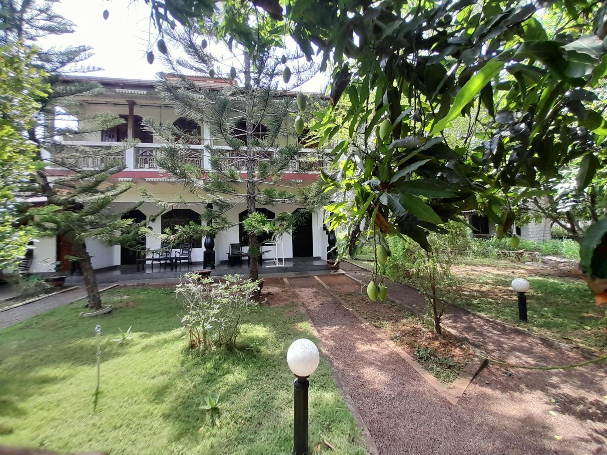 The Monkey Garden Hostel Sigiriya Luaran gambar